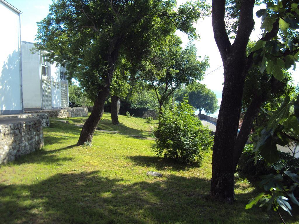Guest House Morska Grota Povile Bagian luar foto